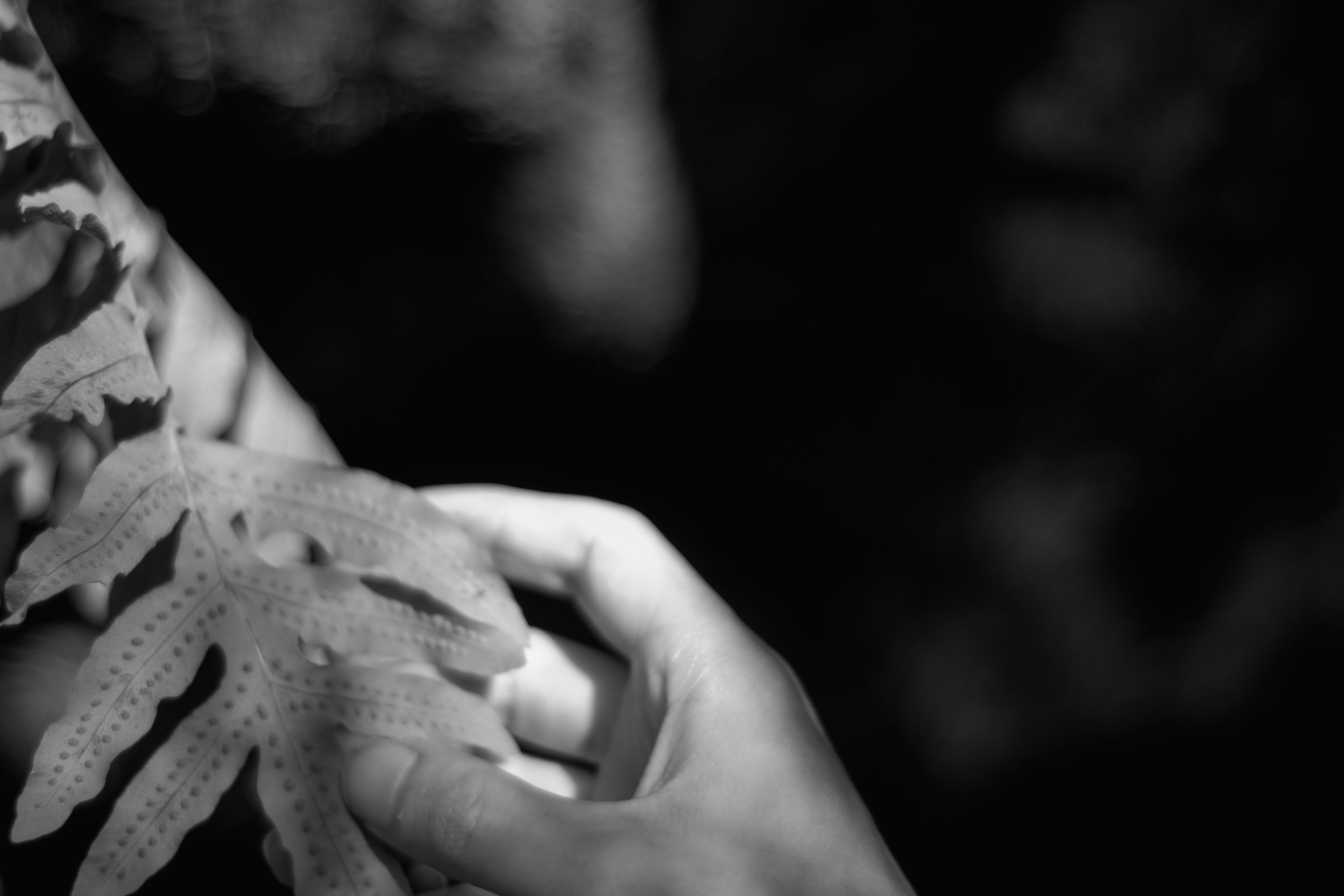 grayscale photo of persons hand